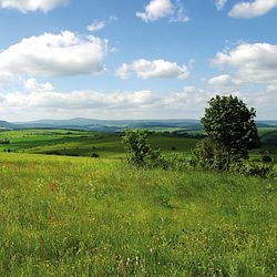 Natur & Landschaft