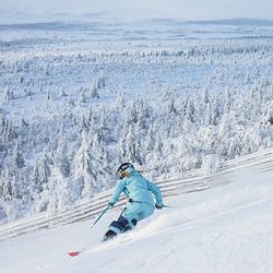 Alpin skidåkning