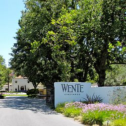 Wente Vinyards