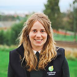 Lovisa Filipsson