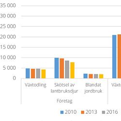 Statistik och rapporter