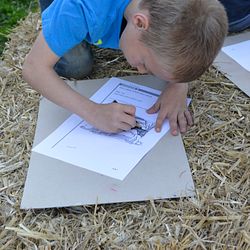 Lernen live: Grundschüler aus Oberbrügge auf Bauernhof-Entdeckungstour 