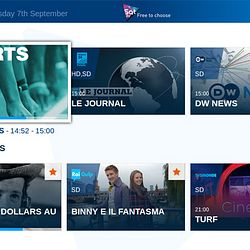 DTT and Free to Air Satellite Distribution Eutelsat