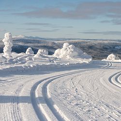 Längdskidåkning