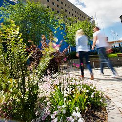 hälsohögskolan i jönköping