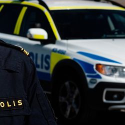 brottsutveckling och kriminologi