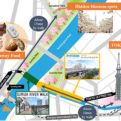 Spring 2020: A New Tokyo Destination Opens