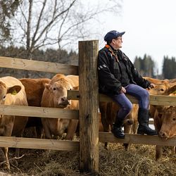 Maidontuottaja Kirsi "Kipa" Soini