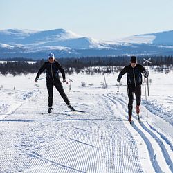 Längdskidåkning