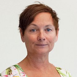Birgitta Hallin