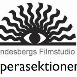 Lindesbergs Filmstudio | Operasektionen