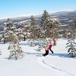 Snowboard