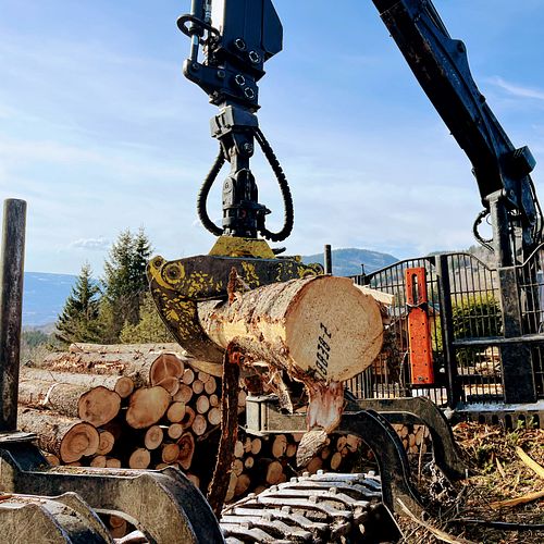 Logscom – Innovation för automatiserad virkesmätning