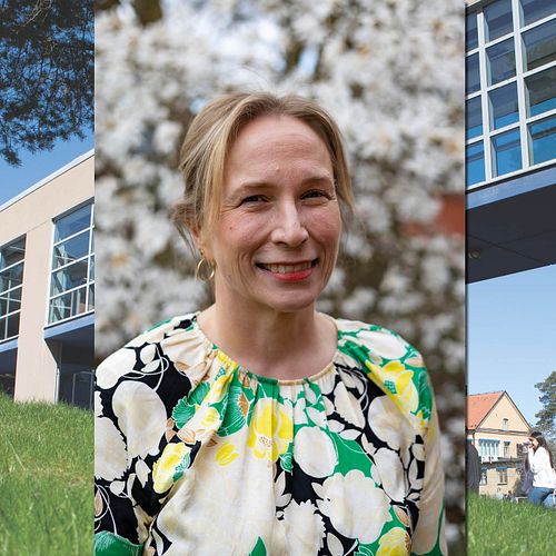 Hon blir ny kommunikationschef på Högskolan Väst