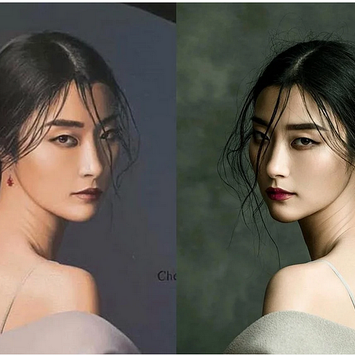 Photographer Jingna Zhang finally won her two-year copyright battle