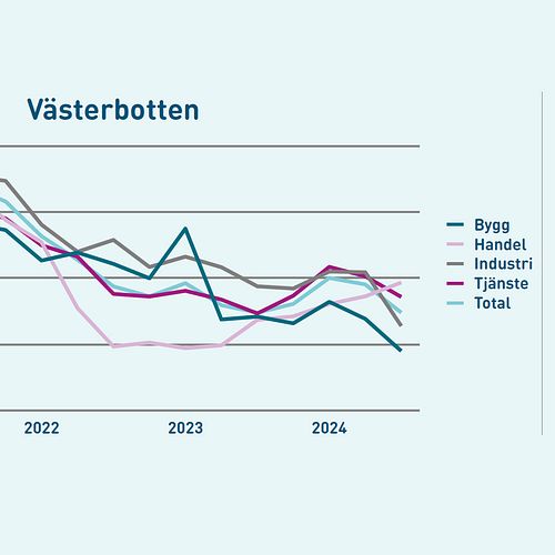 Trots svagt läge saknar industrin i västerbotten tillgång till arbetskraft