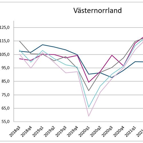 Handeln i Västernorrland ser positivt på framtiden