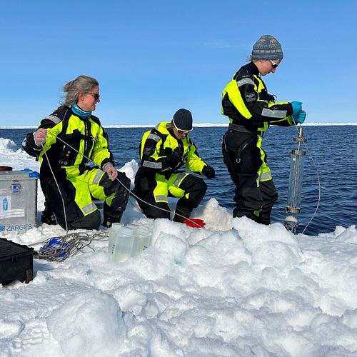 From left to right: Eva Leu (Akvaplan-niva), Oda Siebke Løge (NILU) and Megan Lenss (Polar Institute). (Photo: Ann Kristin Balto/Norwegian Polar Institute)