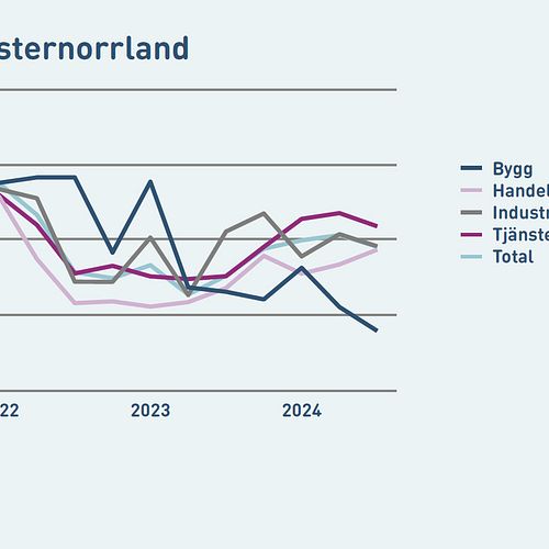 Tillverkningsindustrin i Västernorrland är starkast i Norrland