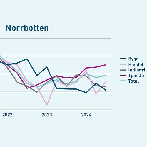 Handeln i Norrbotten ser ljust på framtiden