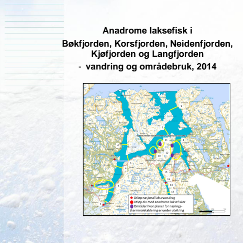 Rapporten om laksefiskers vandring i Bøkfjorden og Neidenfjorden