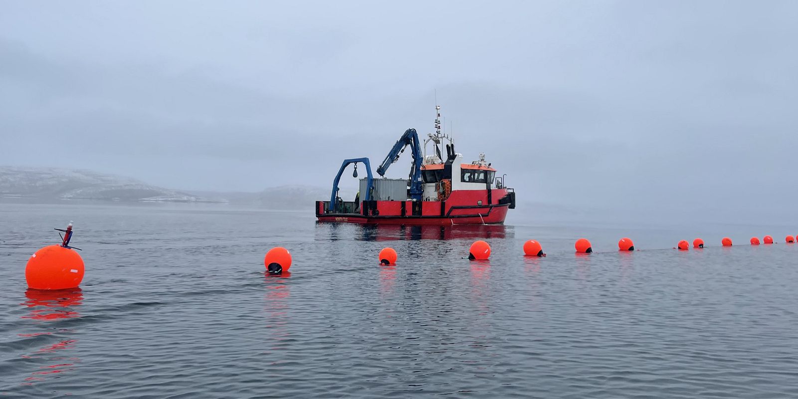 Oppdrett av sukkertare på Akvaplan-niva's FoU-lokalitet utenfor Tromsø (Foto: Sanna Matsson/Møreforsking). 