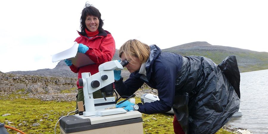 Anita Evenset (til venstre) og Marianne Frantzen i felt på Bjørnøya (Foto: Guttorm Christensen/Akvaplan-niva)