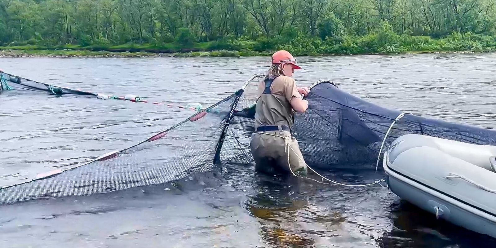 Vera Andreassen Løvold fanger parr og smolt i Repparfjordelva. (Foto: Jo Espen Tau Strand, UiT).