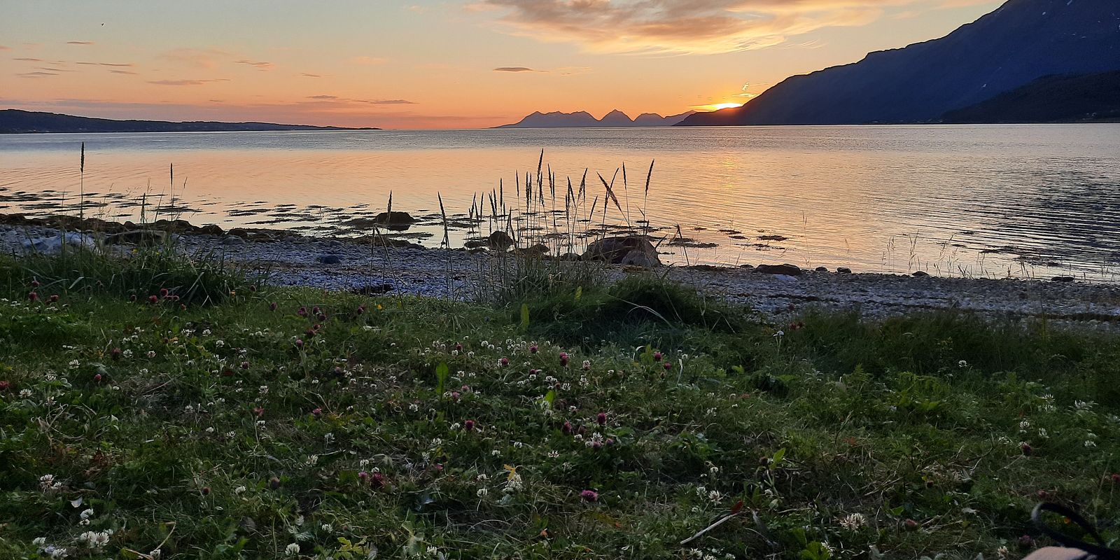 Foto: Trude Borch/Akvaplan-niva