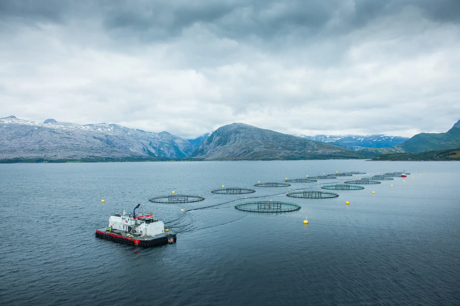 Nova Sea lokalitet Buktodden NØ (Foto: Nova Sea)
