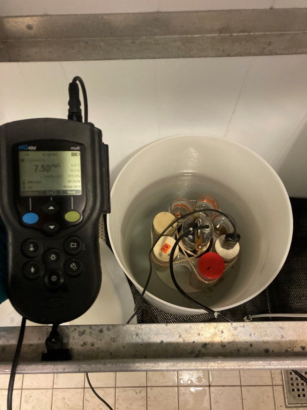 Small sediment cores incubating inside a water bath. Probe on the left side is measuring oxygen inside a core.jpg