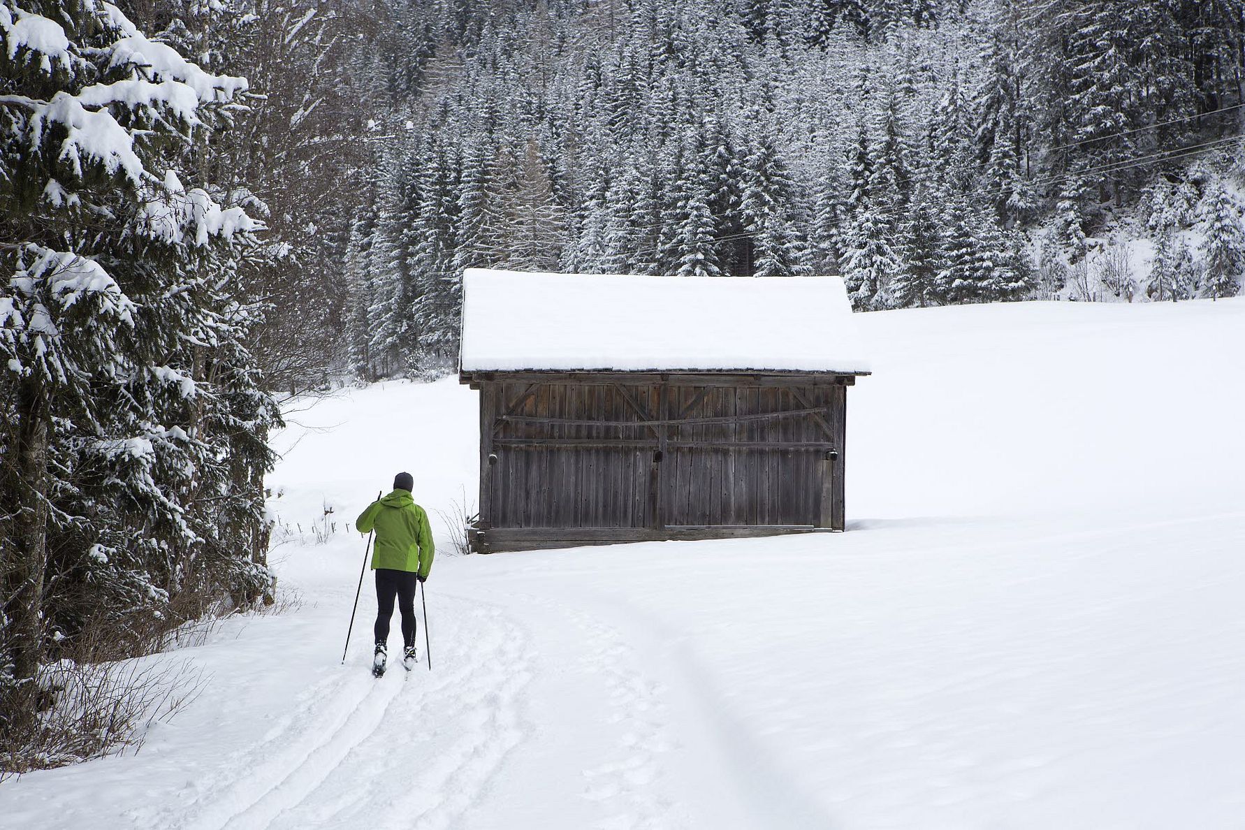 Person åker skidor i vinterlandskap 