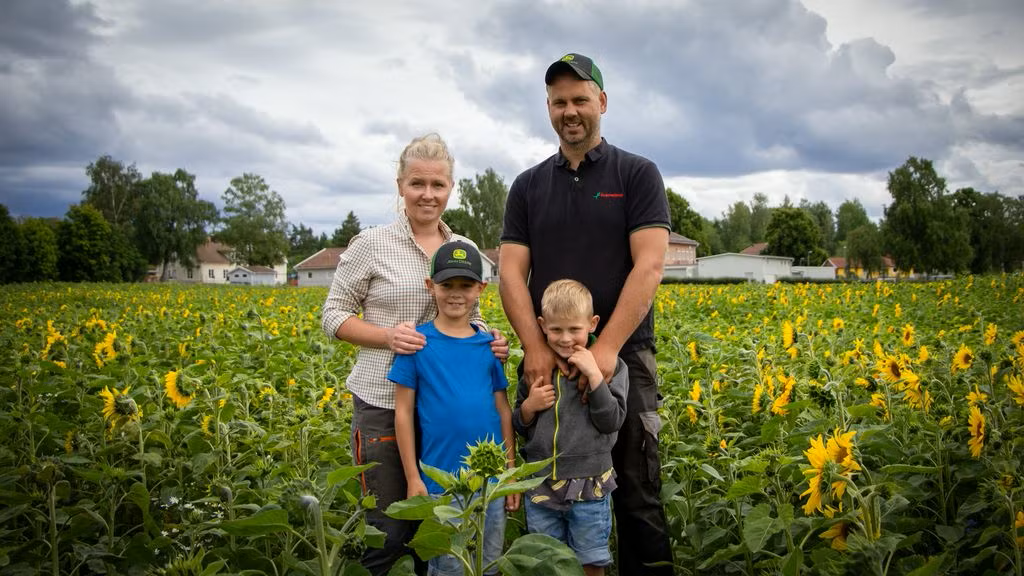 Familjen Haraldsson på Melby gård i Östergötland står för tredje året i rad redo att välkomna allmänheten inför årets självplock av solrosor.