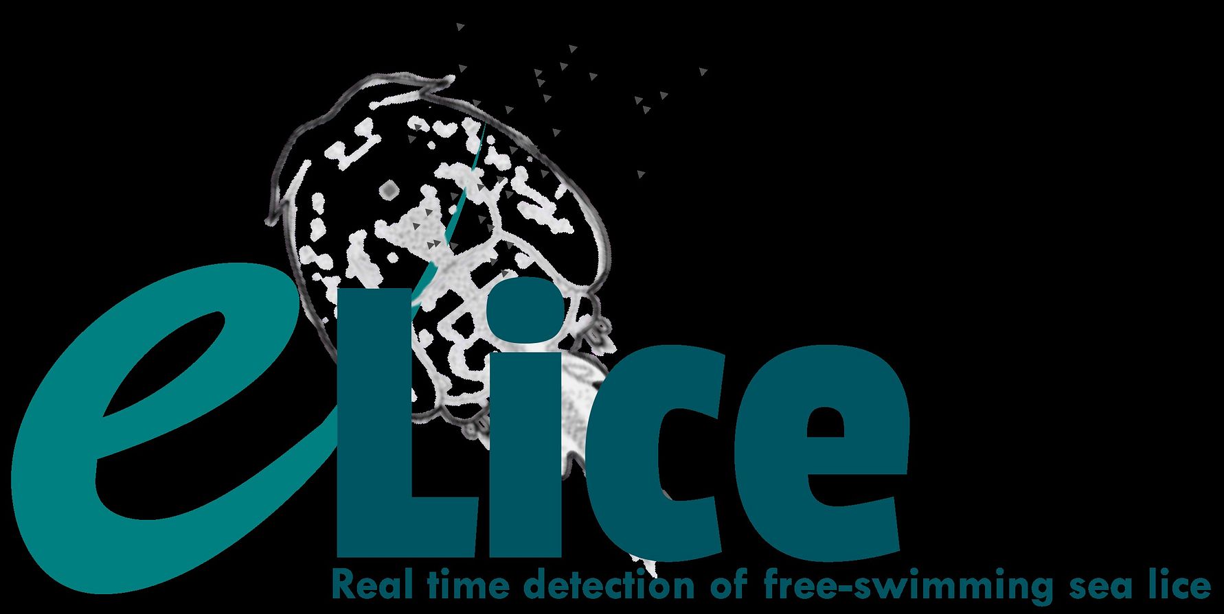 e-Lice