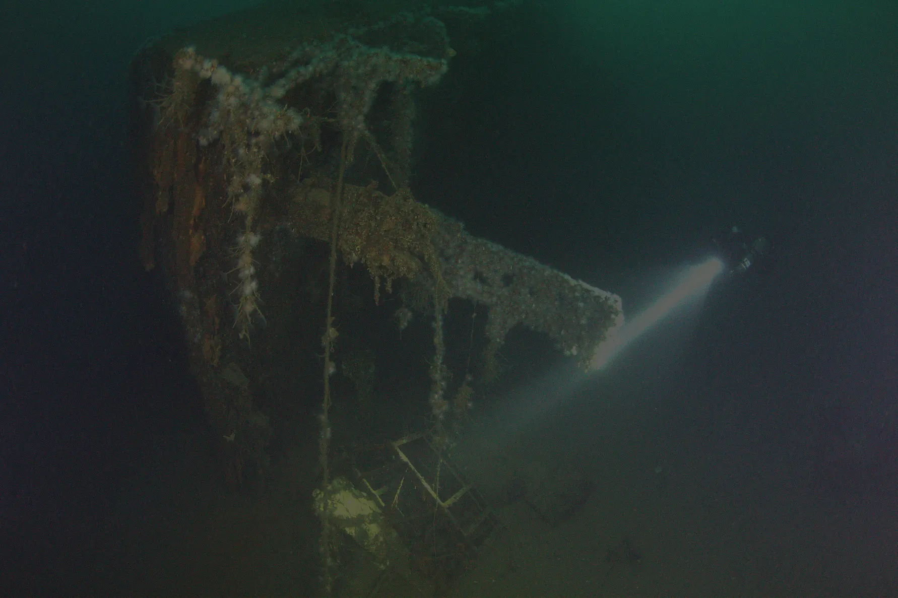 Hekken av vraket av «Georg Thiele» ligger på ca. 50 m dyp i Rombakfjorden øst for Narvik og bærer preg av tidens tann. Sjøanemoner, hydroider og børstemark har funnet et egnet levested på vraket. Foto: Aksel Sveum