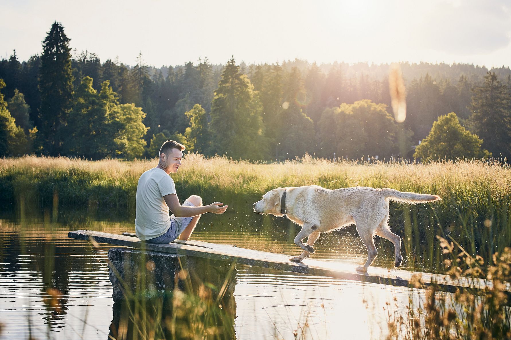 Källa: Doggy AB