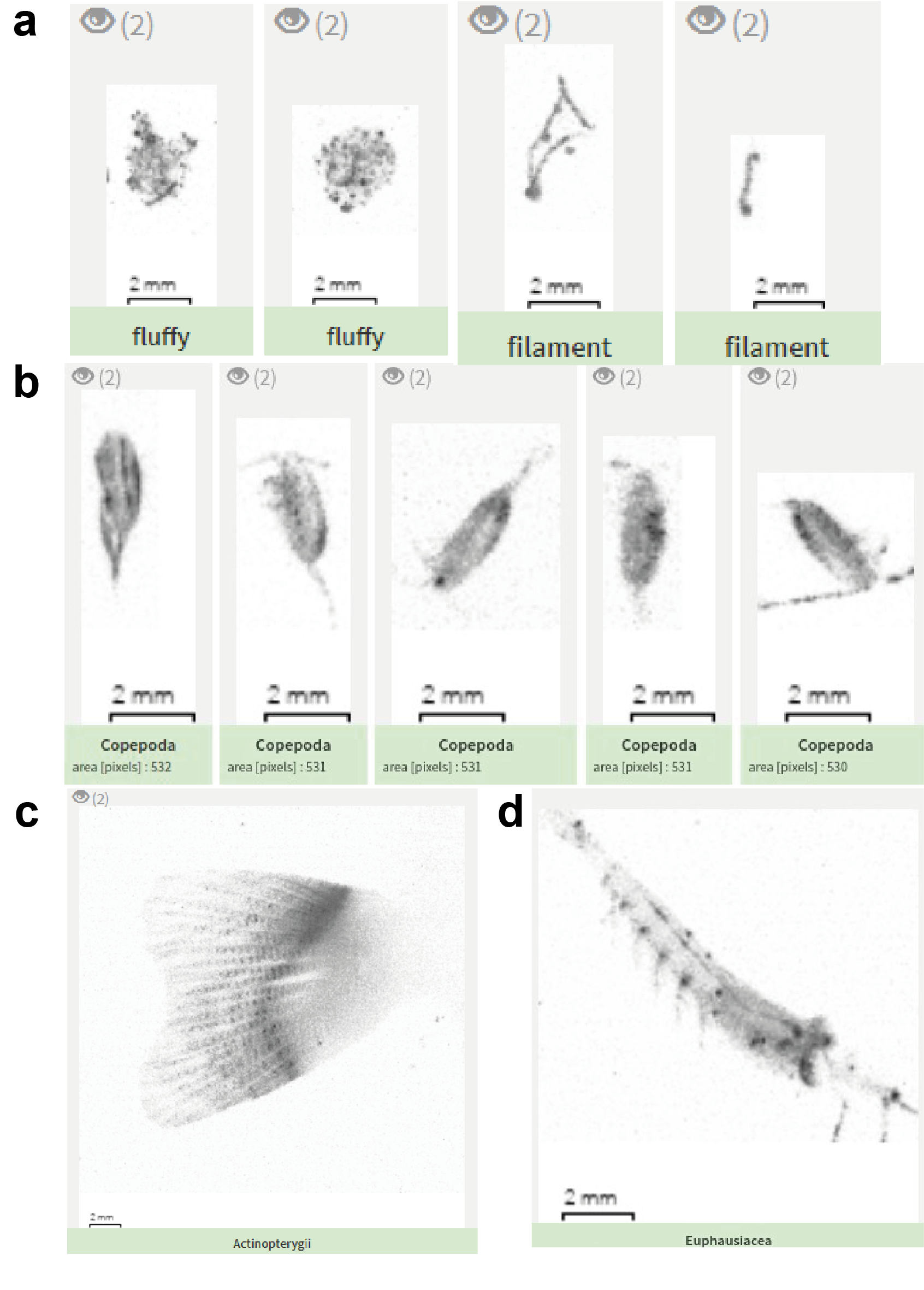 UVP6 images example.png