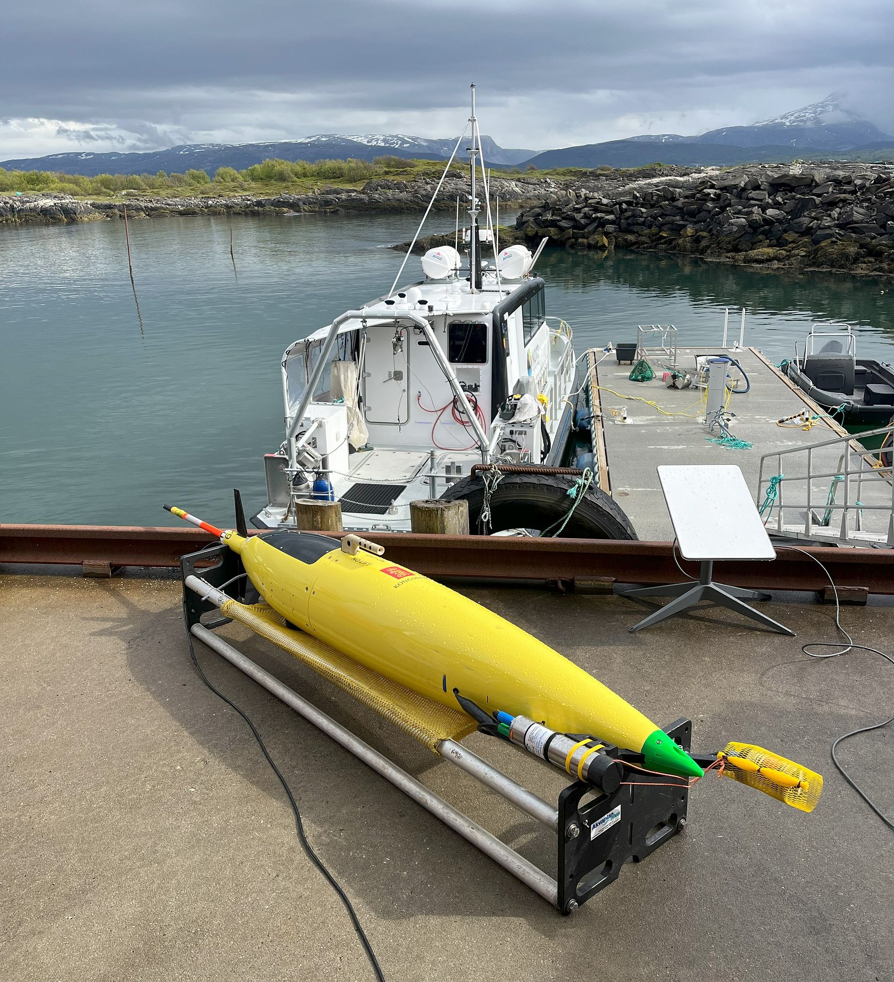 glider and UVP6.jpg