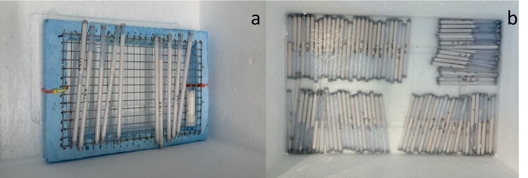 Croypreservation of sperm samples from lumpfish