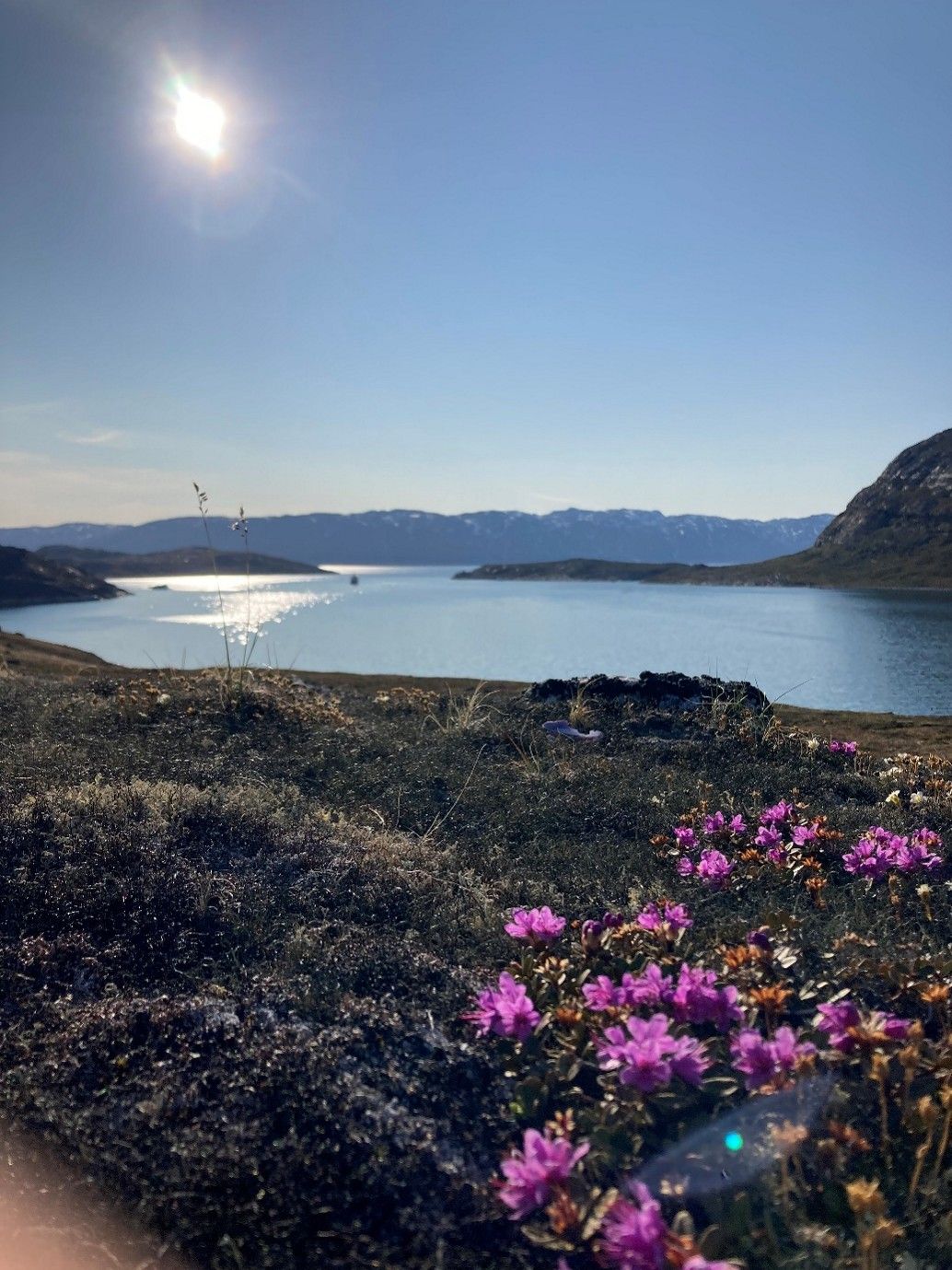 Exploring Carbon Remineralisation Potential and Biodiversity in West Greenland.jpg