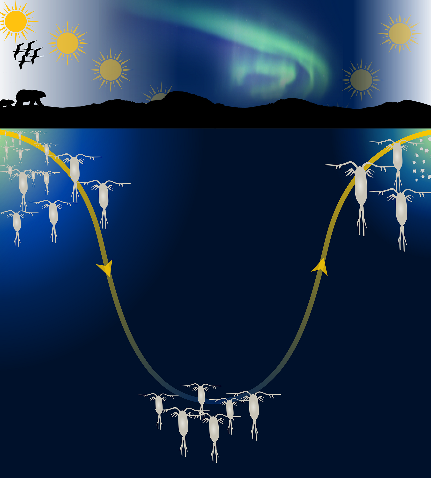 Migratory Crossroads Illustration Kanchana Bandara Akvaplan-niva