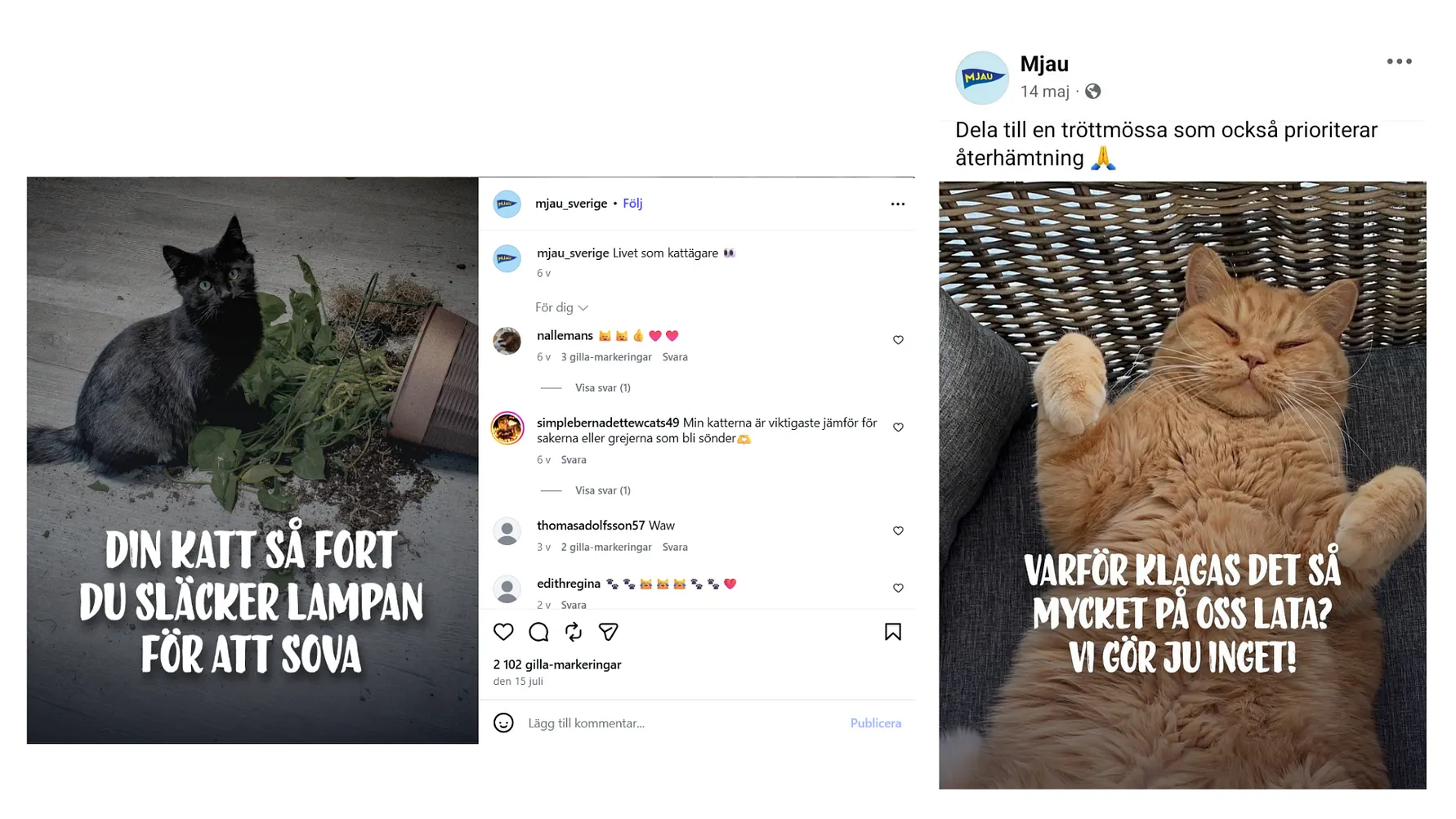 Mjau på Facebook
