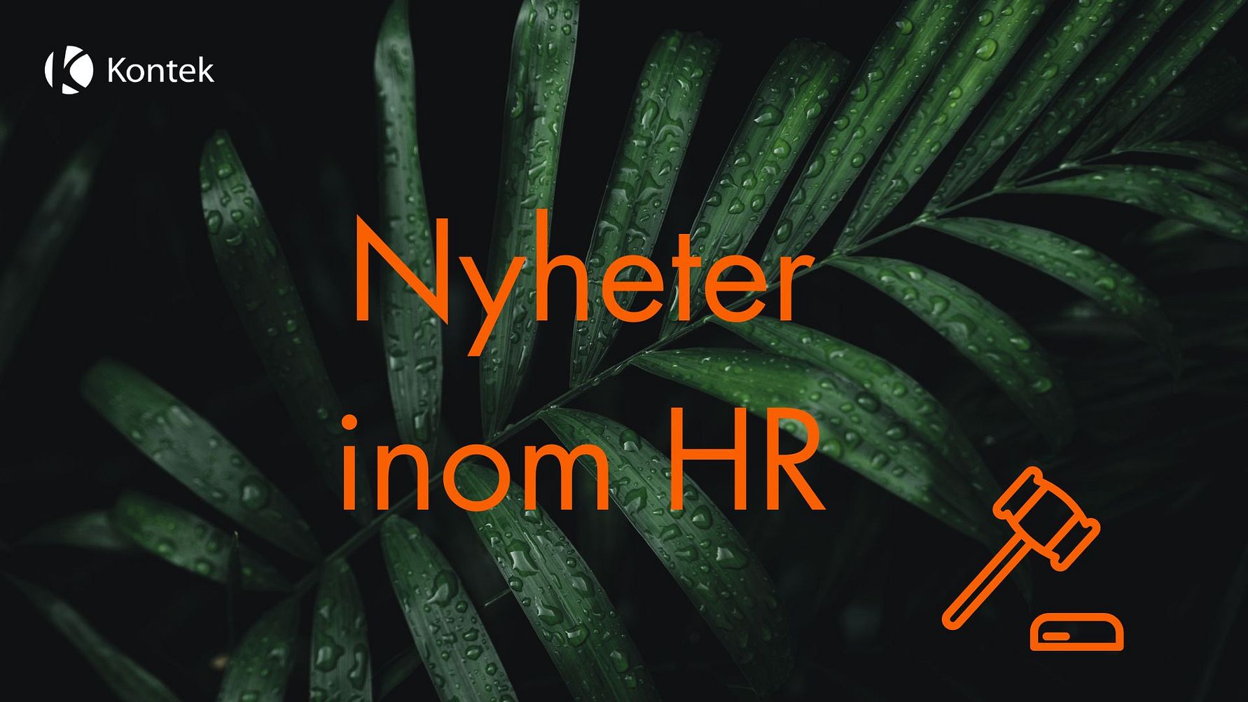 På Kontek håller vi oss alltid uppdaterade om det senaste inom HR och lönehantering - information som vi gärna delar med oss av. 