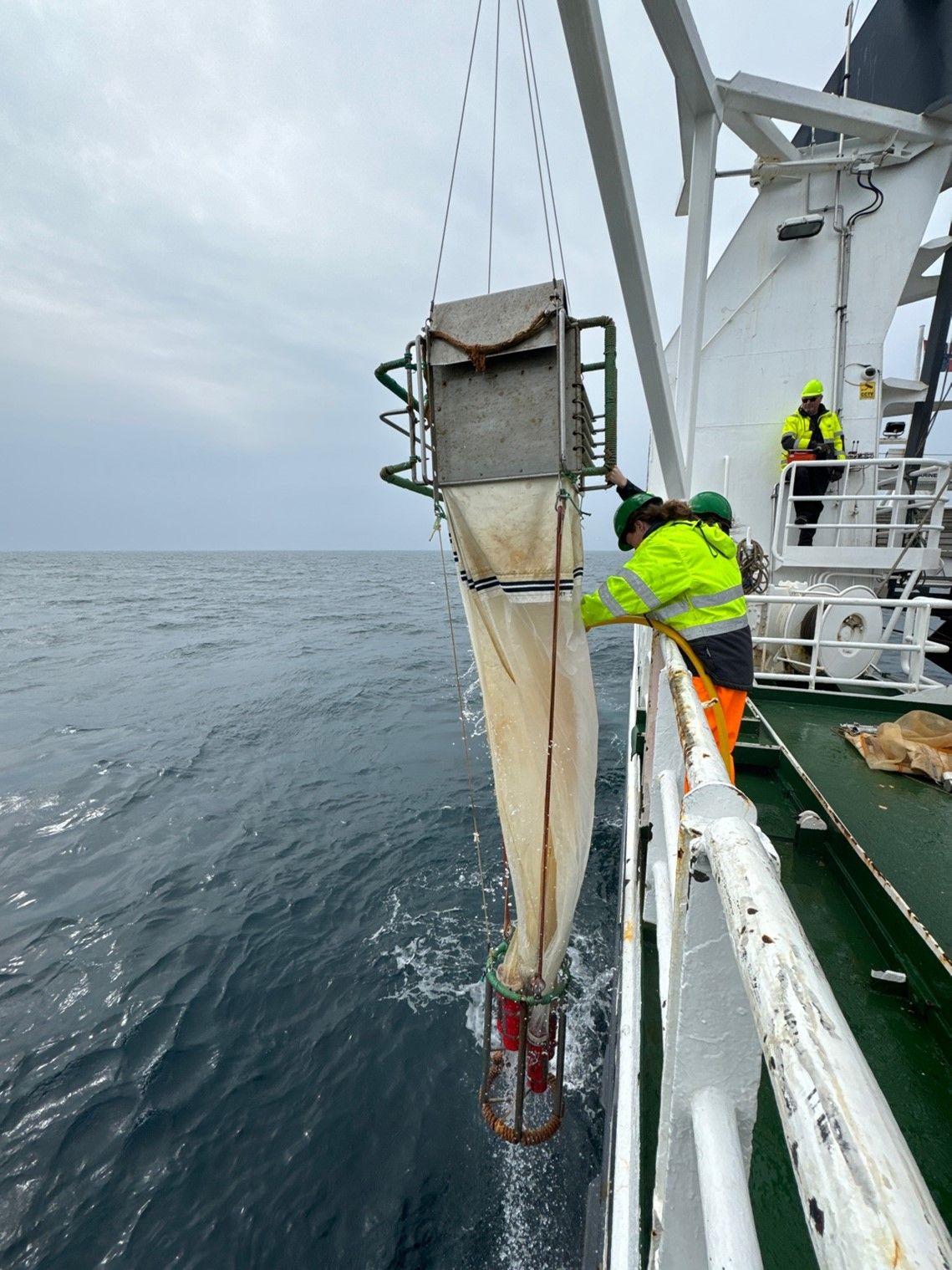 Elisabeth Halvorsen UiT and Recovery of MultiNet-midi Photo Chathumini Kiel.jpg