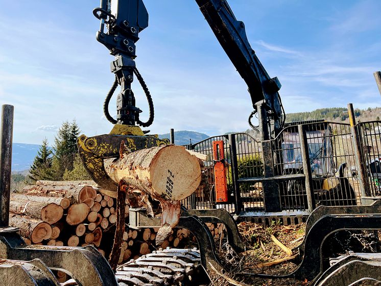 Logscom – Innovation för automatiserad virkesmätning