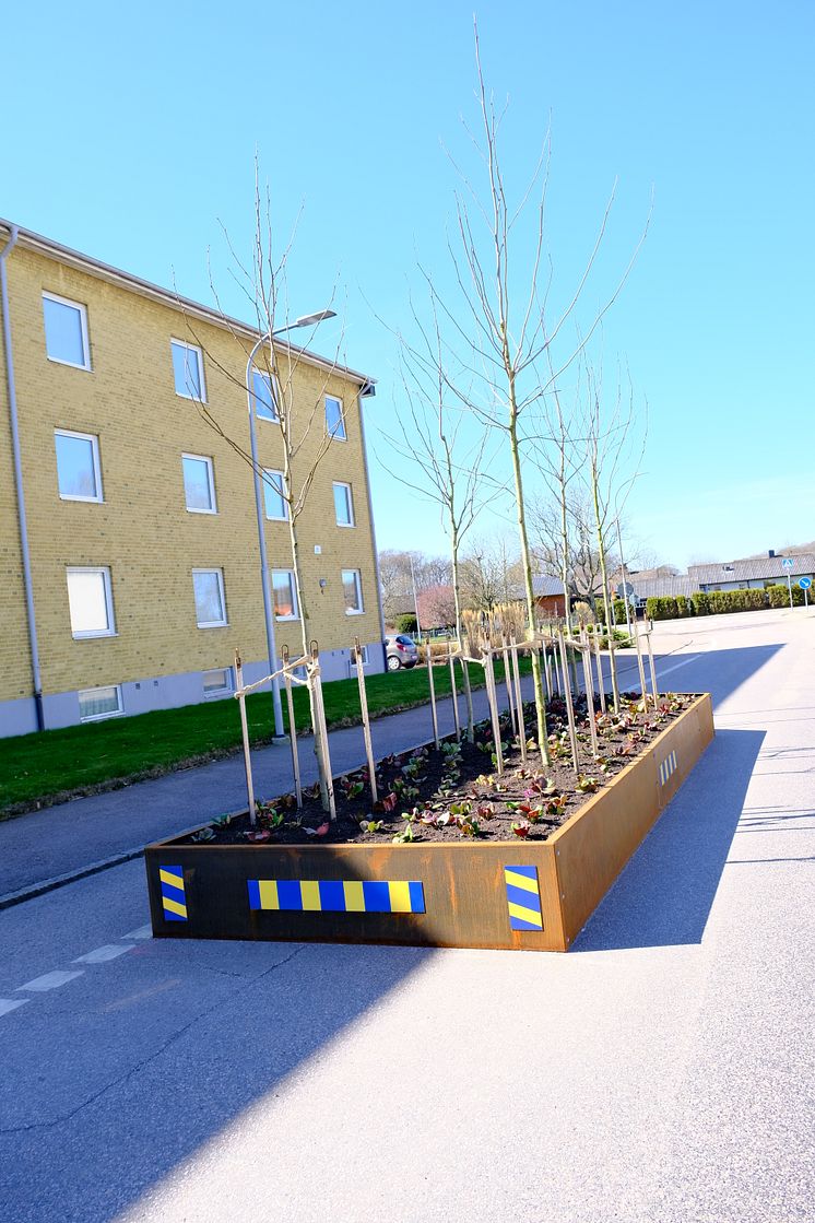 Träd på tillväxt hos Ängelholmshem