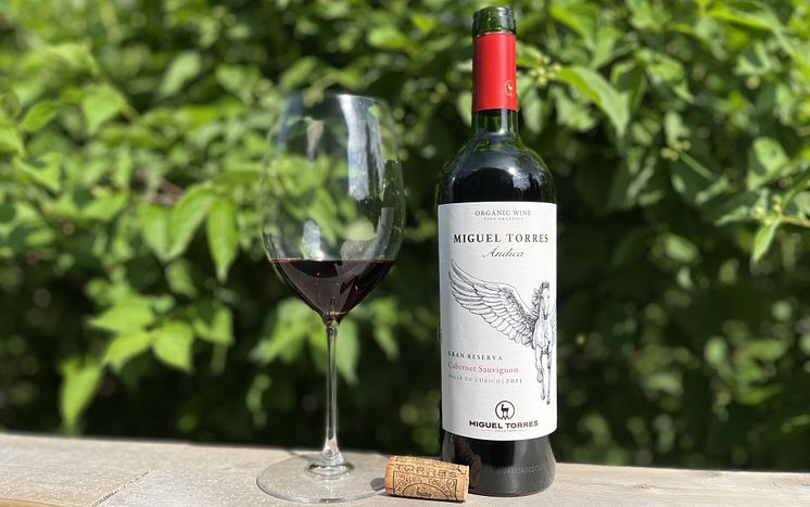 Andica-Cabernet-Sauvignon-Torres-Chile2.jpg