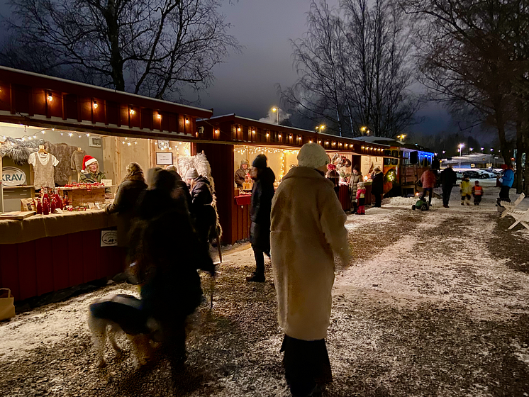 Christimas lights in Alingsås 2 Julmarknad på Nolbygård_foto_Gro Hansen Johnsson.png