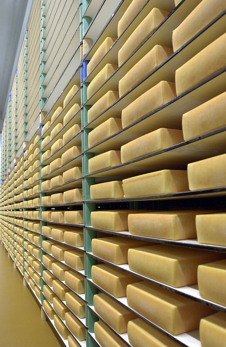 Arla yellow cheese production