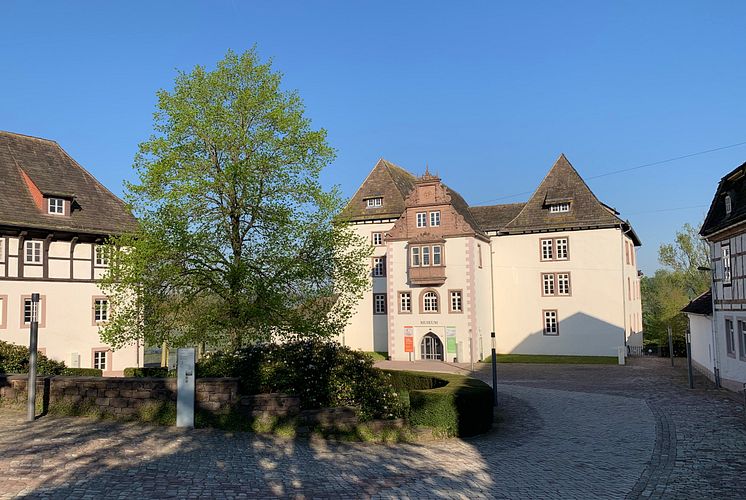 MUSEUM SCHLOSS FÜRSTENBERG im Frühling.jpg